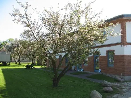 Ferienwohnungen Ostseestern - 7 Apartments, Obstgarten, Lagerfeuer, Spielplatz, Fußbodenheizung, Parken