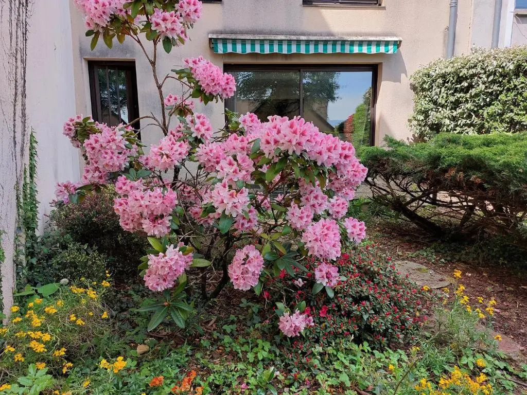 Le DenysPuech 55m2 plein centre avec jardin!
