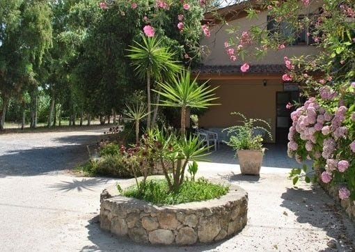 La Pineta