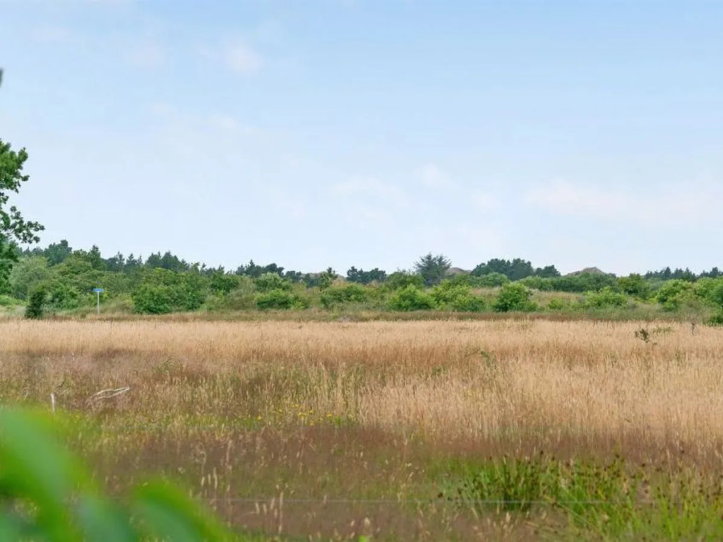 "Zeqir" - 2.7km from the sea in Western Jutland
