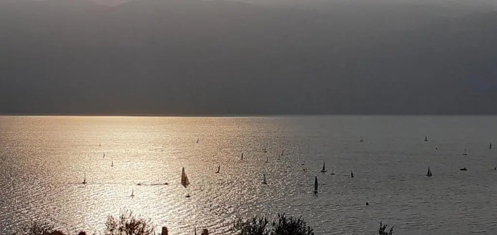 Agriturismo LUliveto