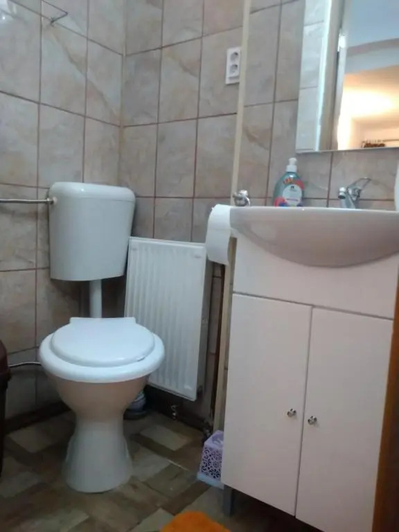 Guest House Liviu Rebreanu 13