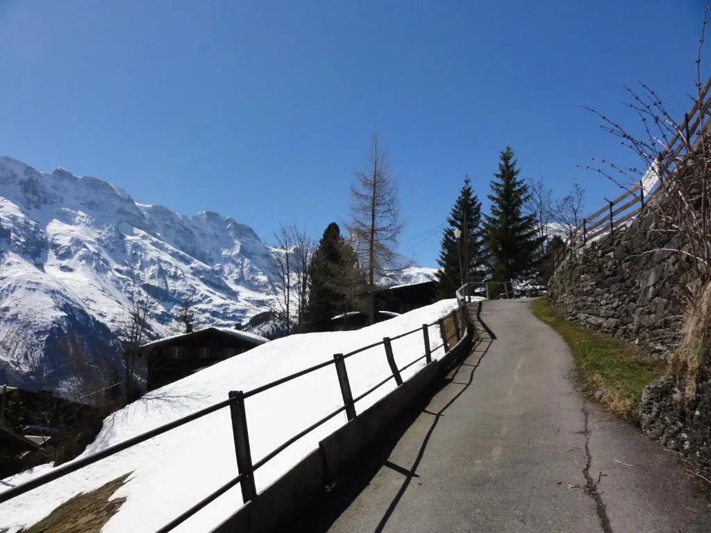 Chalet Schönbühl