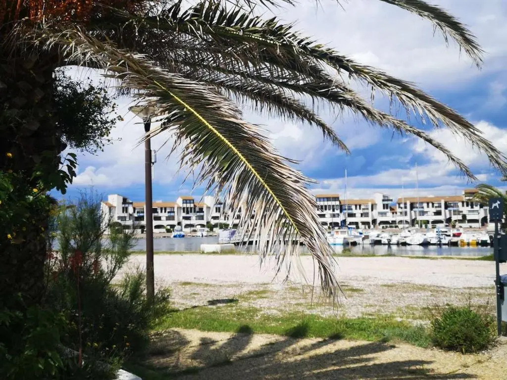 Appartement Port Barcarès, 2 pièces, 4 personnes - FR-1-195-45