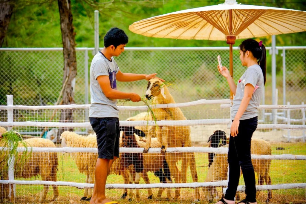 The Pine Songkhla (SHA Extra Plus)
