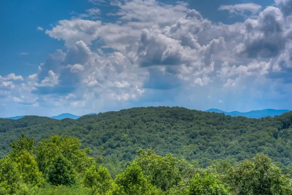Treetops by Escape to Blue Ridge