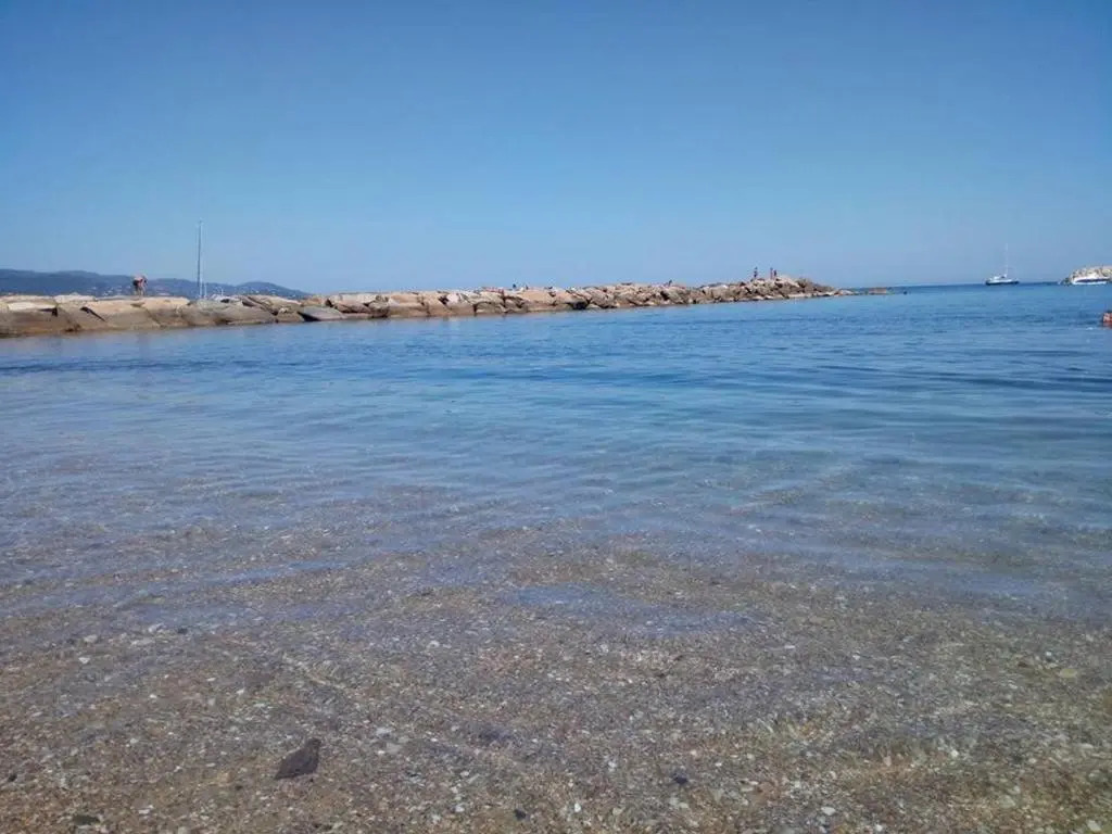 Appartement Le Lavandou, 2 pièces, 4 personnes - FR-1-251-359