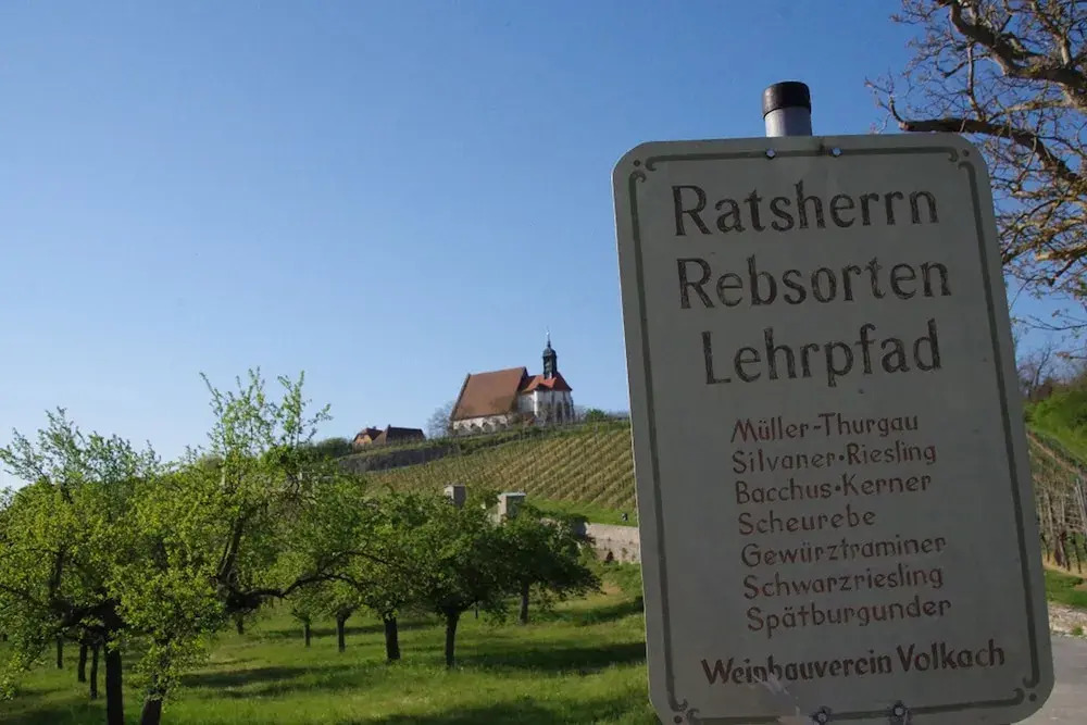 Weingut & Ferienwohnungen Kirch