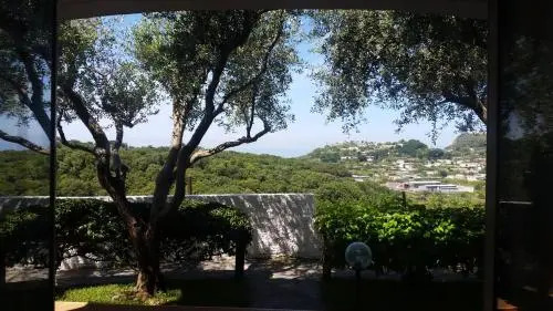 Appartamenti Luongo