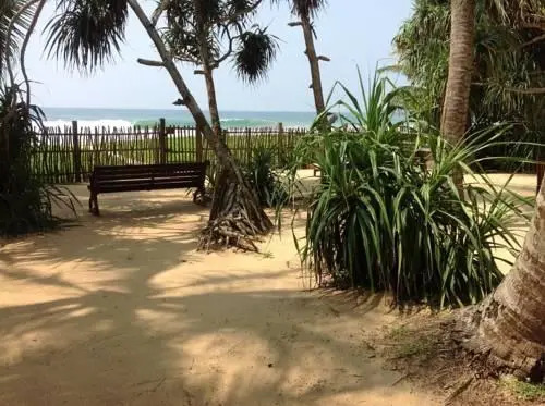 The Beach House