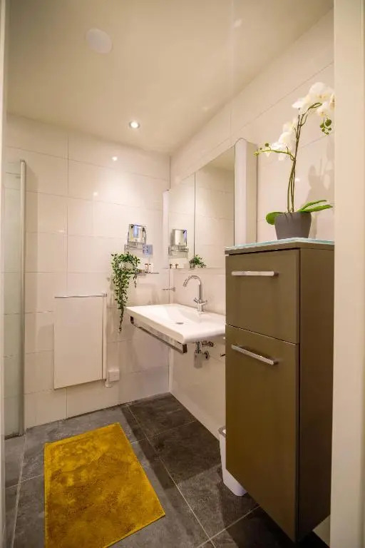 Unique Courtyard House with Sauna in Alkmaar city center