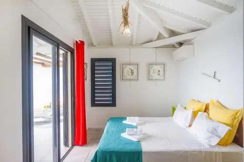 Villa Iguane House