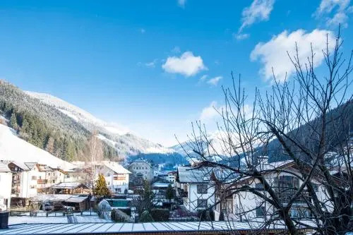Hotel Gasthof Höllriegl