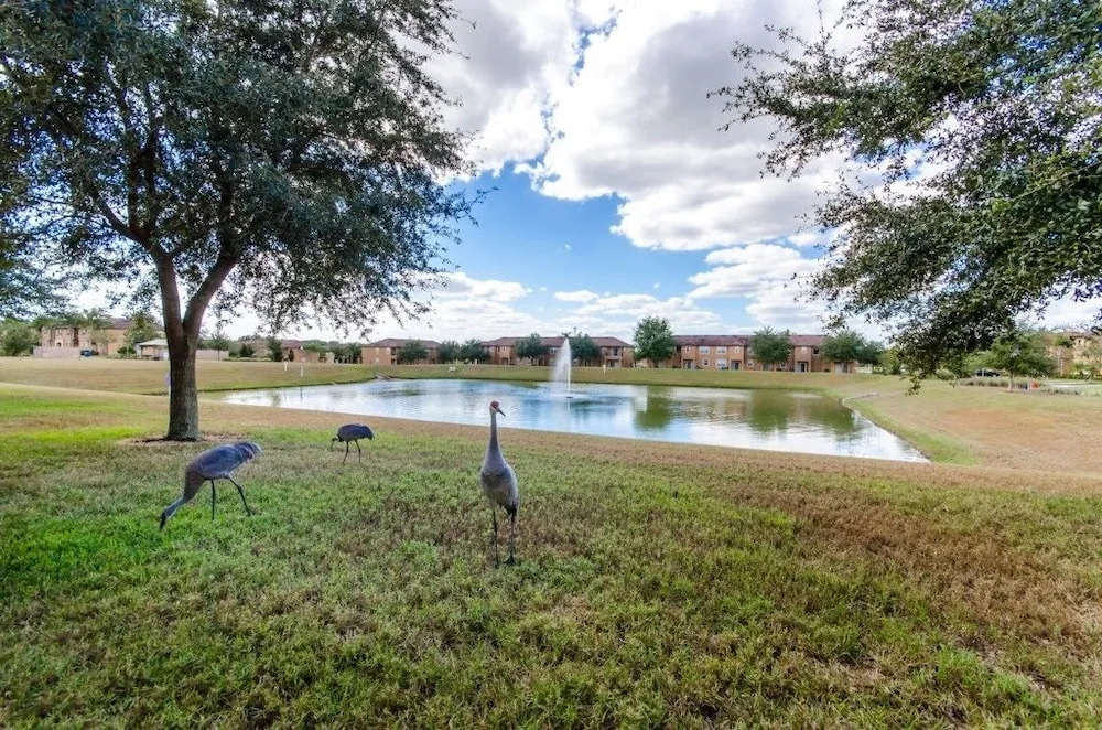 Amazing Townhome! - Regal Palms - 537MA