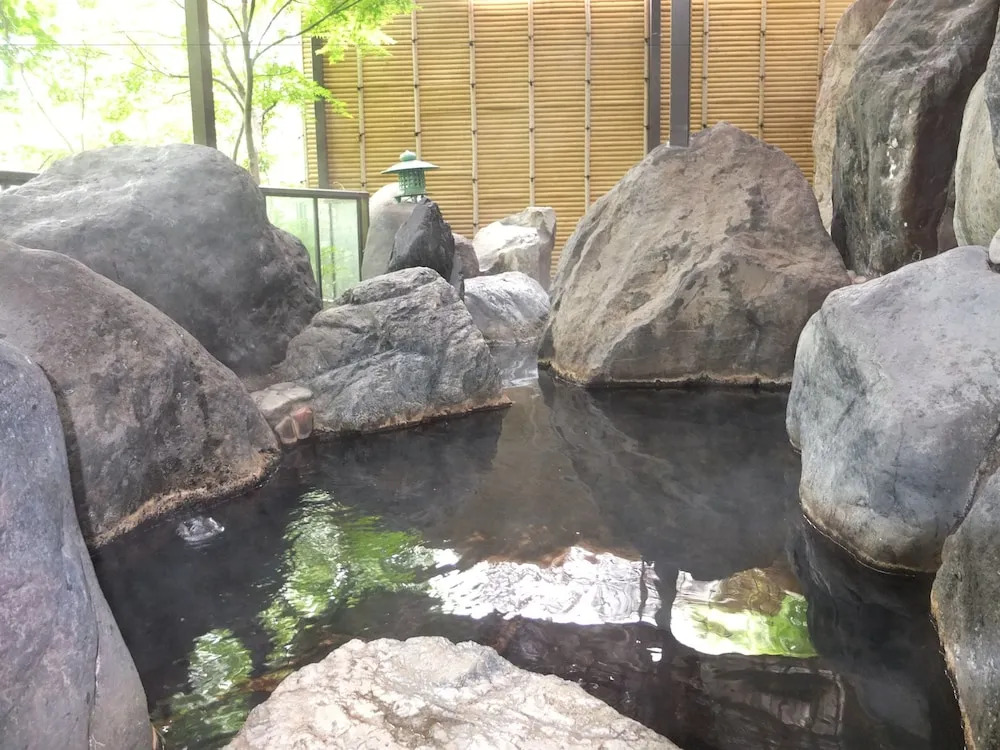 Kinugawa Park Hotels