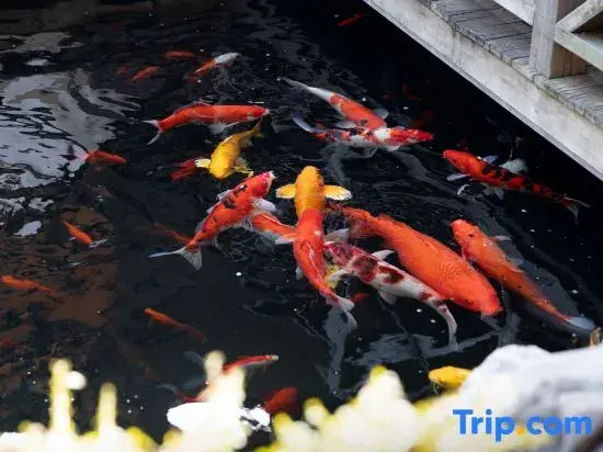 Floral Hotel · Huangshan Shandong Chou Lvhuan Homestay (Xixinan Ancient Village)