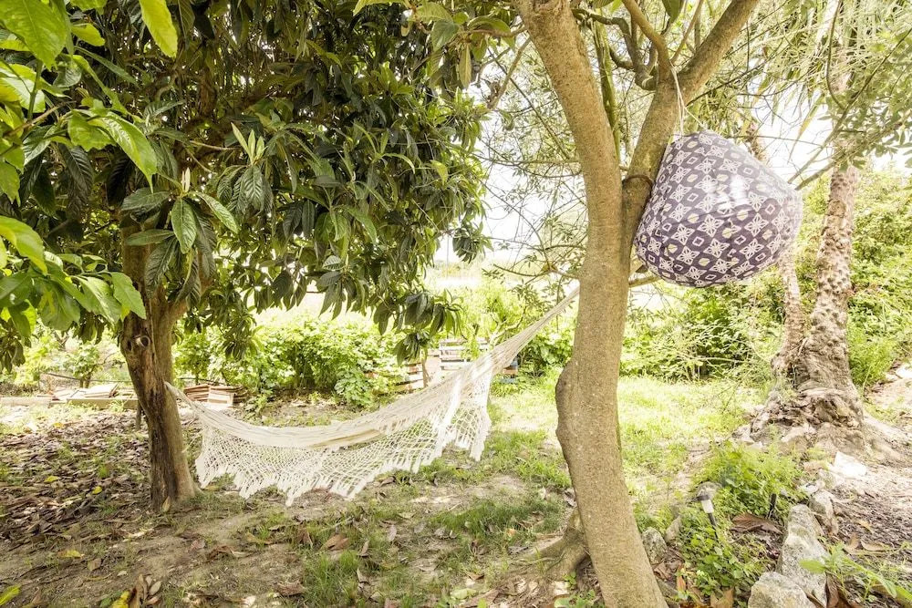Avó Rosa Guesthouse
