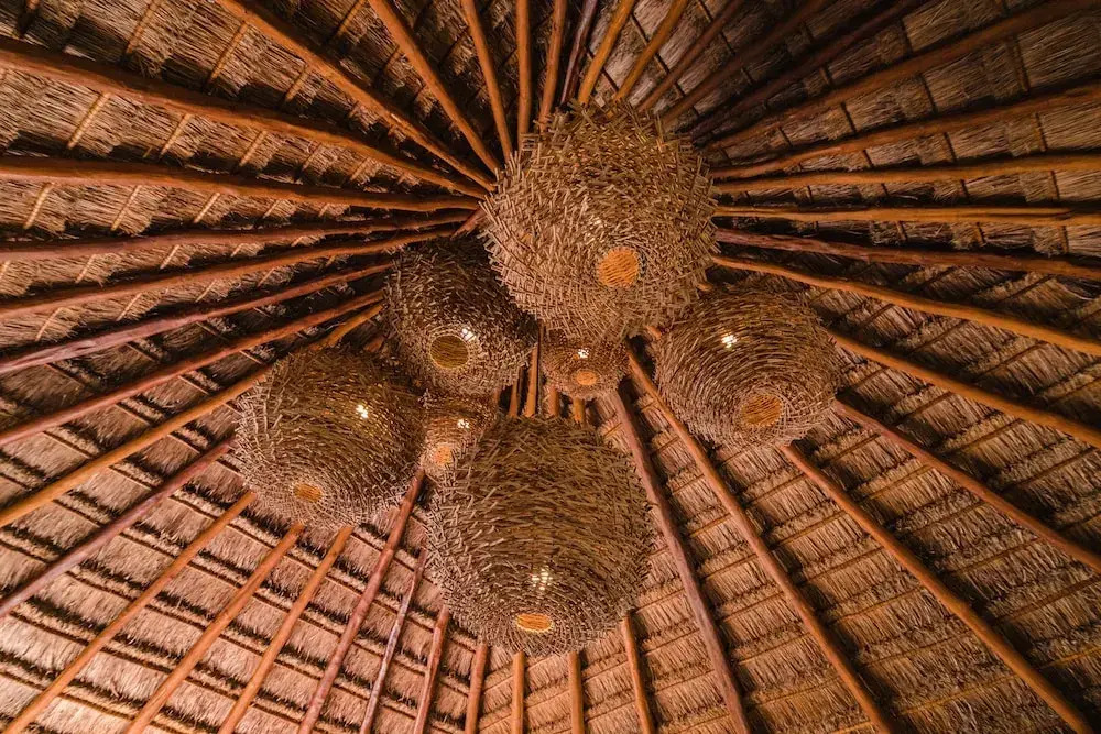 Blue Palm Bacalar