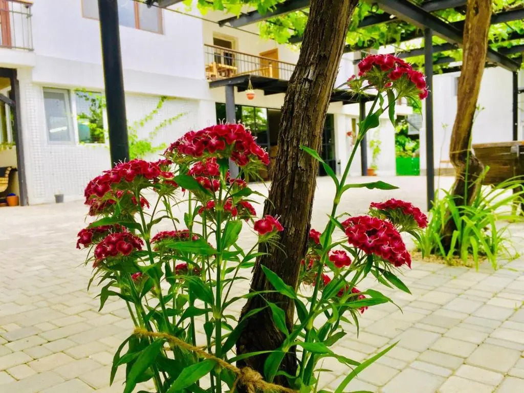 Eco Oasis