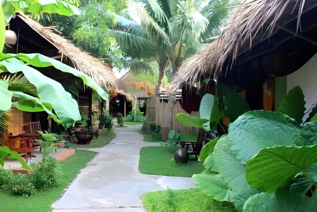 Under The Coconut Tree Hoi An