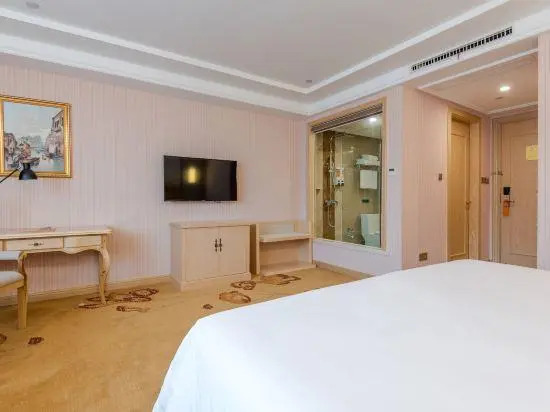 Vienna International Hotel (Chizhou High-speed Railway Station)