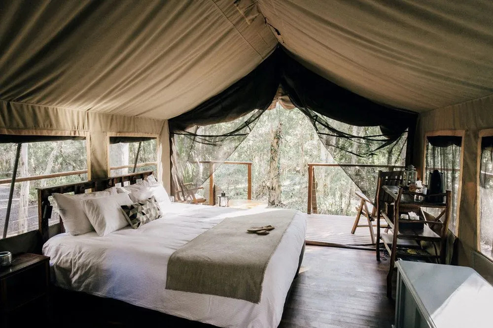 Paperbark Camp