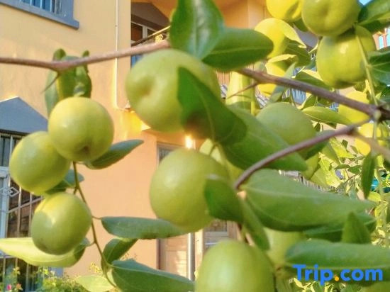 Yining Xiexie Homestay