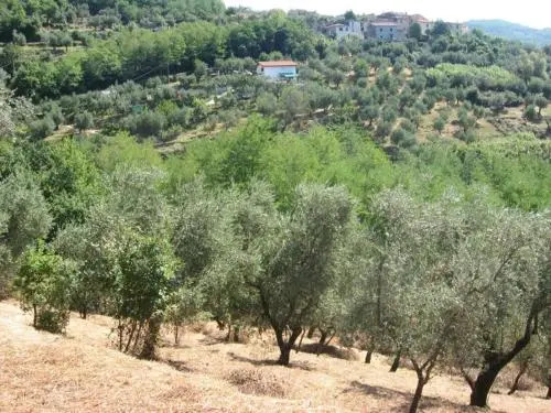 Le Fontane Podere Delle Forri