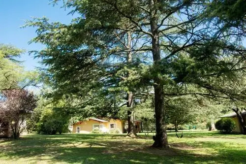 Del Arroyo Cabañas