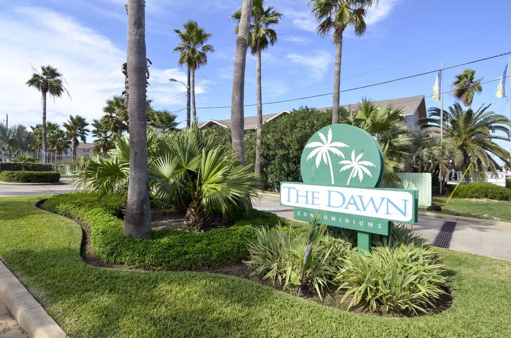 Dawn 532