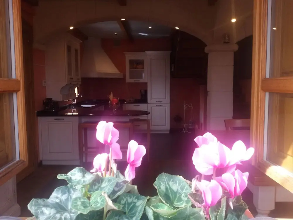 Agriturismo Dinoabbo Ulivi