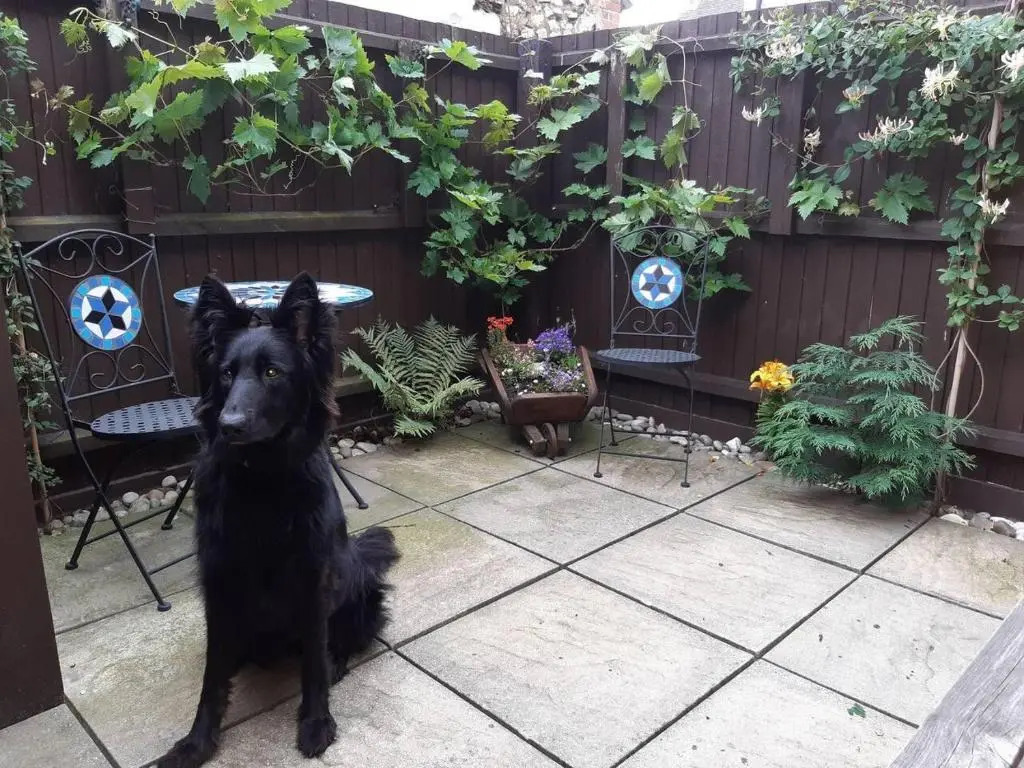 Beautiful 6-bed Dog Friendly Cottage in Heacham
