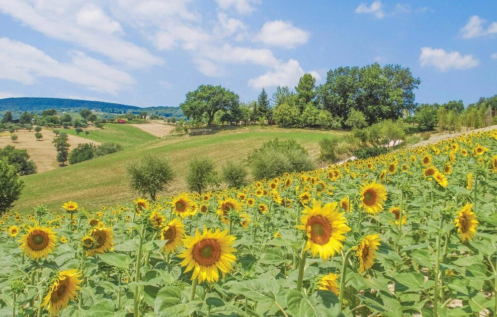 Amazing Home in Montenero di Bisaccia With 5 Bedrooms and Wifi