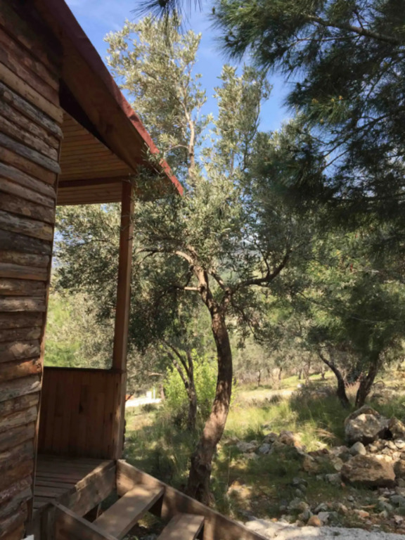 İda bay bungolow