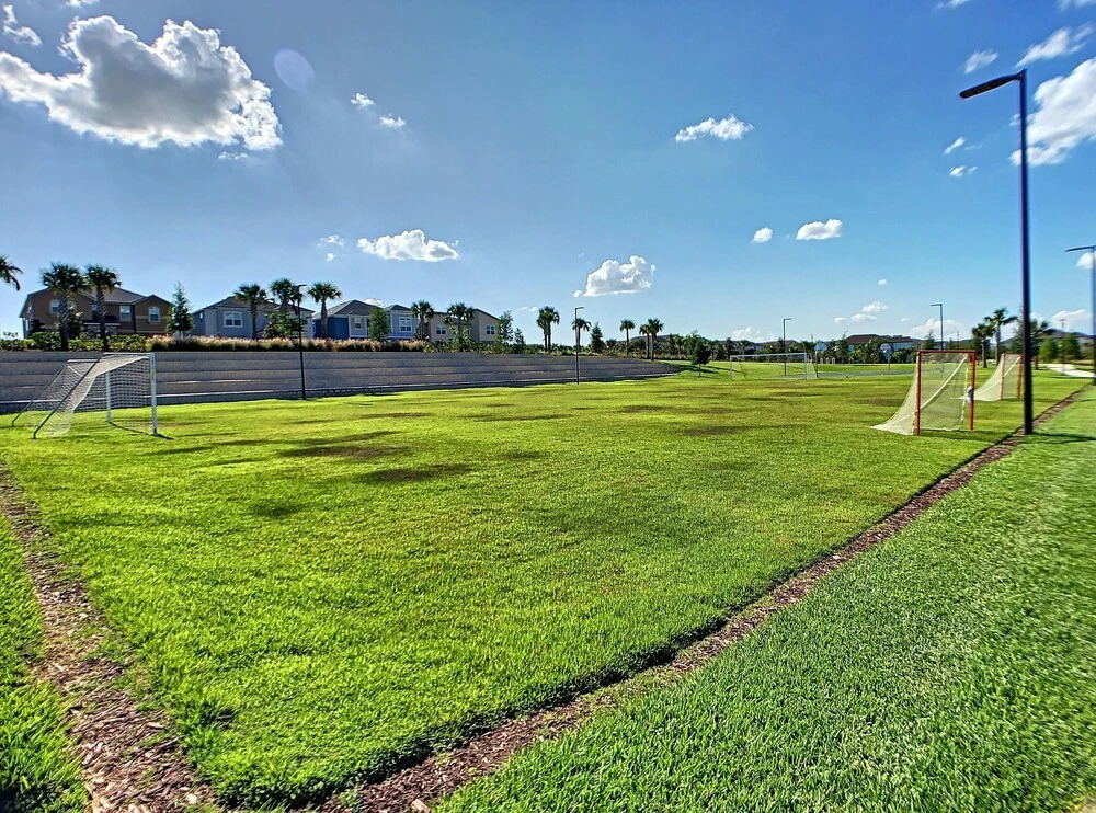 Lake Palm by Florida Spirit
