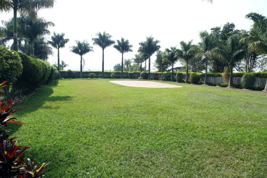 Airport View Hotel