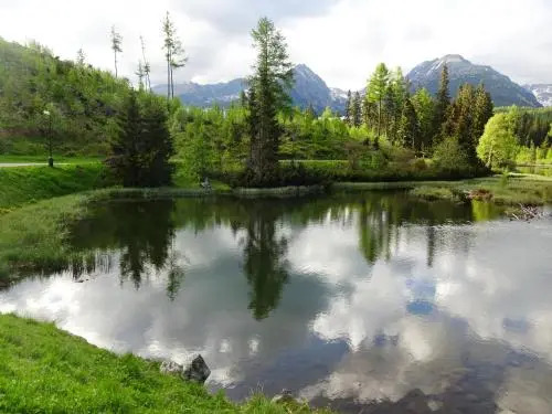 Strbske Pleso Smrek Penthouse Apartment