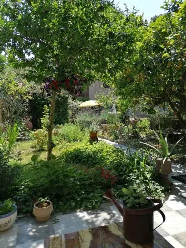Eco Pisa Tower Guesthouse
