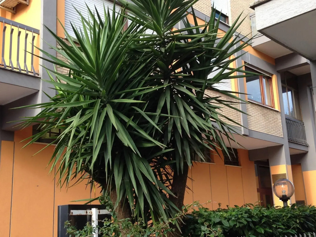 Hotel San Michele