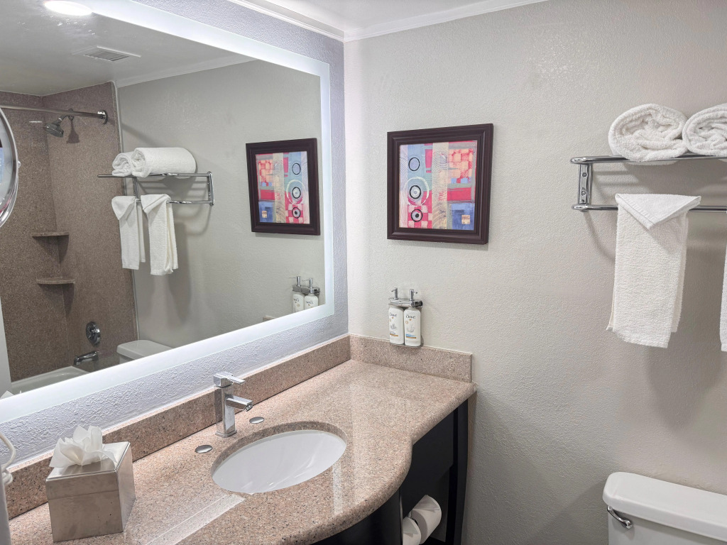 Holiday Inn Orlando East-UCF Area by IHG