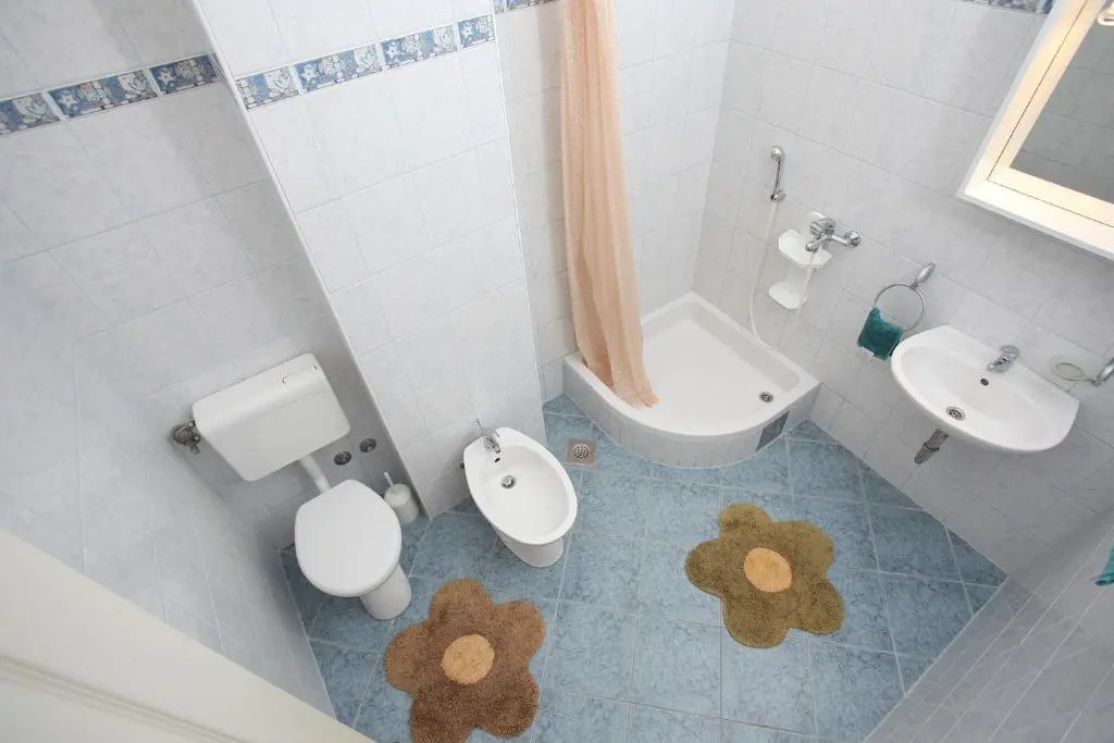 Apartment Mileta