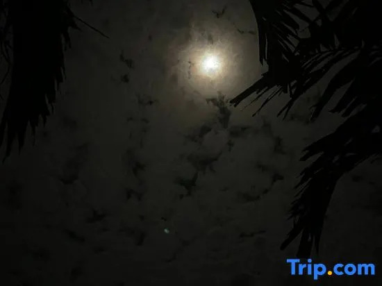 The Firefly Resort
