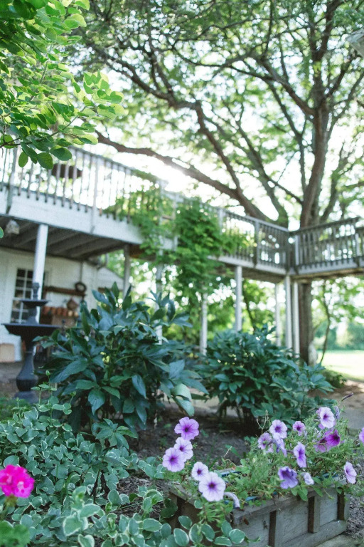 Orchard House Bed and Breakfast