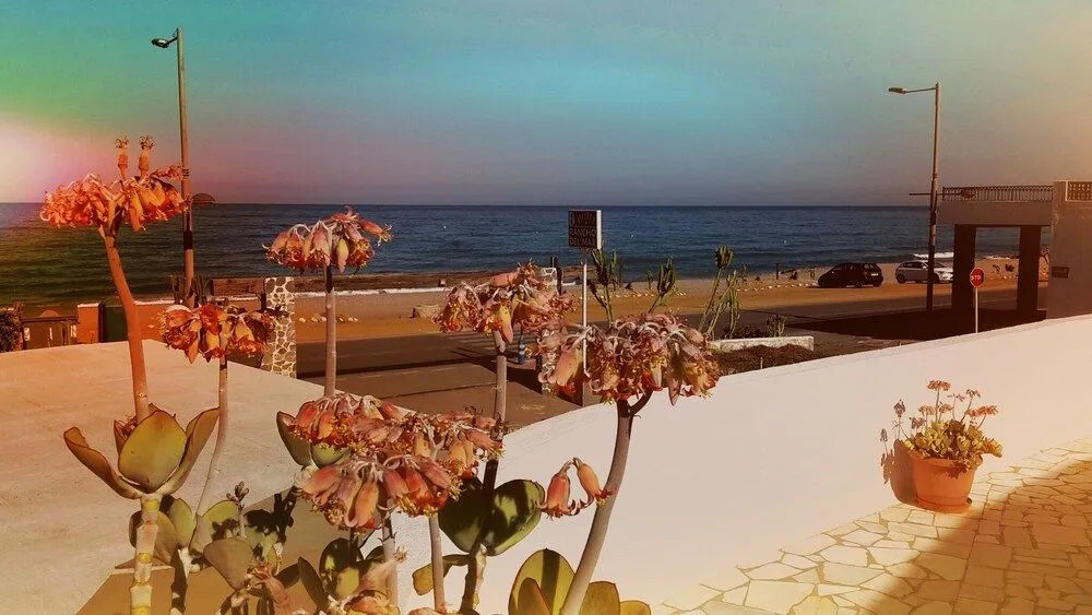 Hotel Rancho del Mar