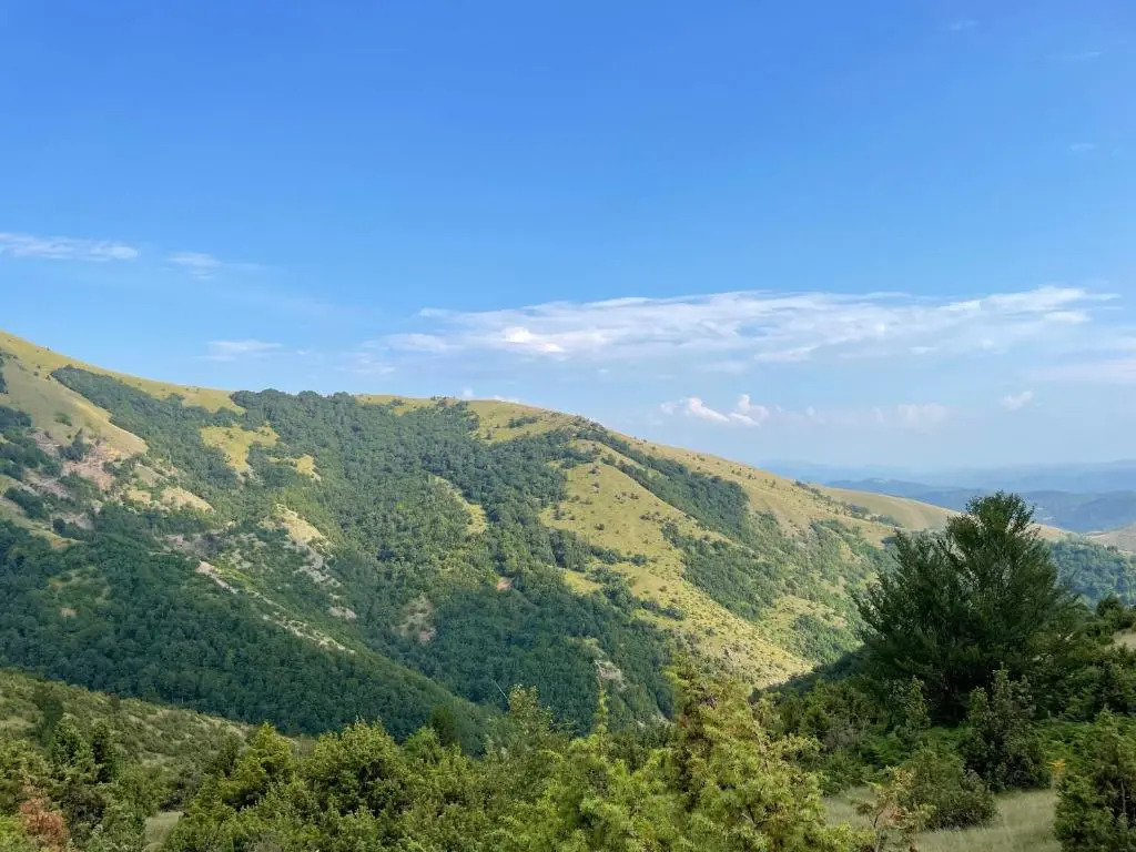 Milmari Resort Lux H-1