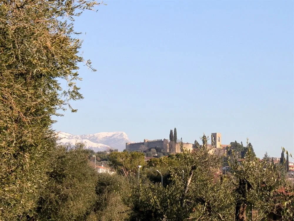 Camping Piantelle