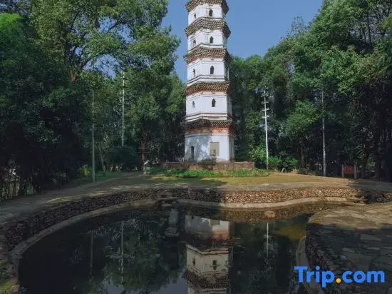 Home Inn UP Huayi Zhilv Hotel (Quzhou Longyou, Damaonan Historical and Cultural Street Store
