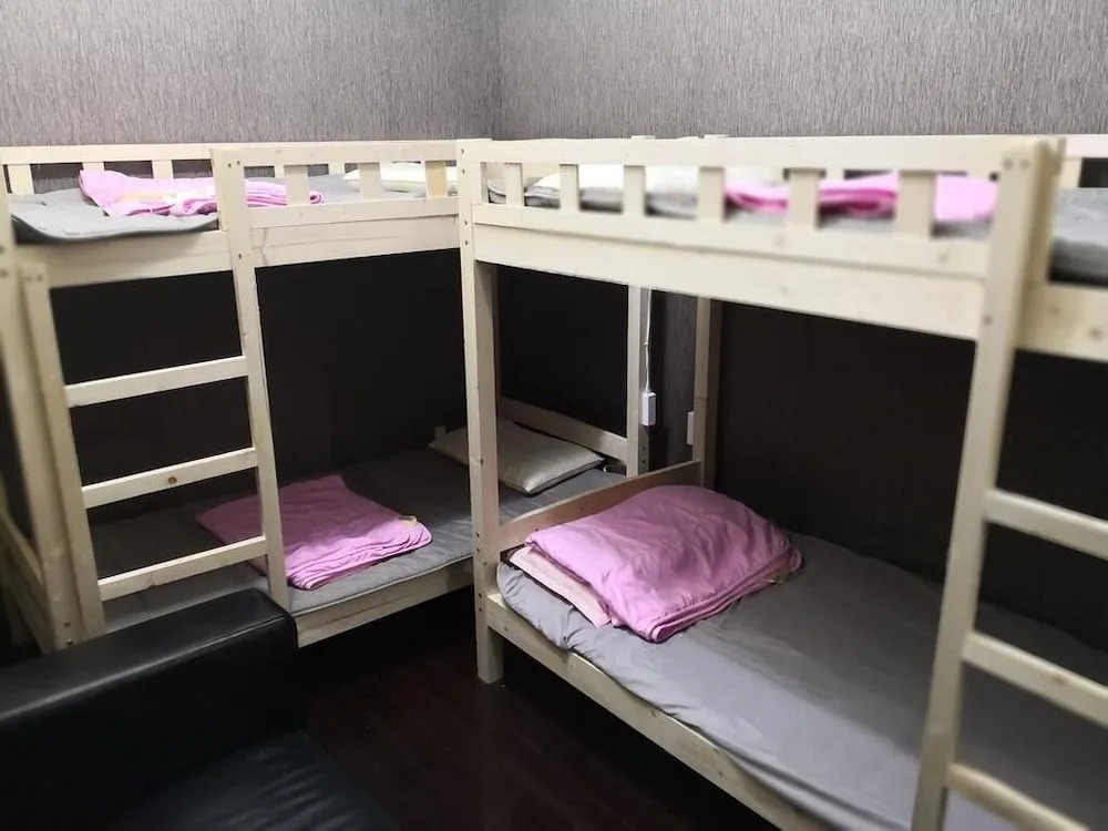 Best Cat Hostel