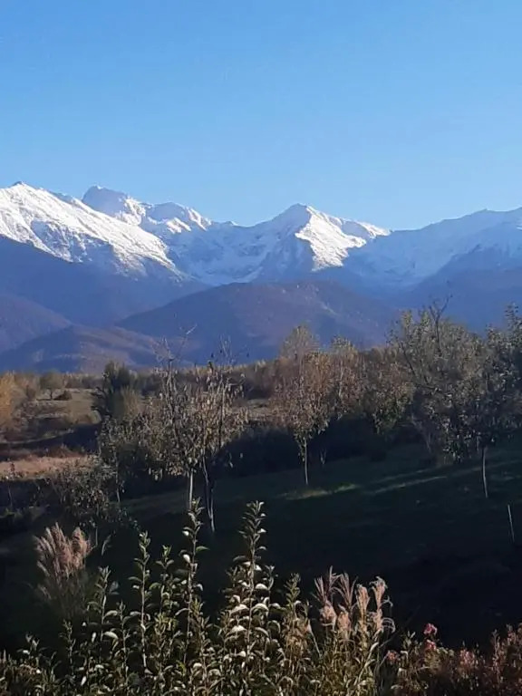 La Curtea Porumbaceana