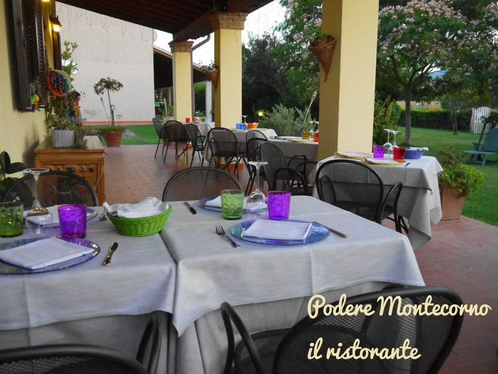 Podere Montecorno